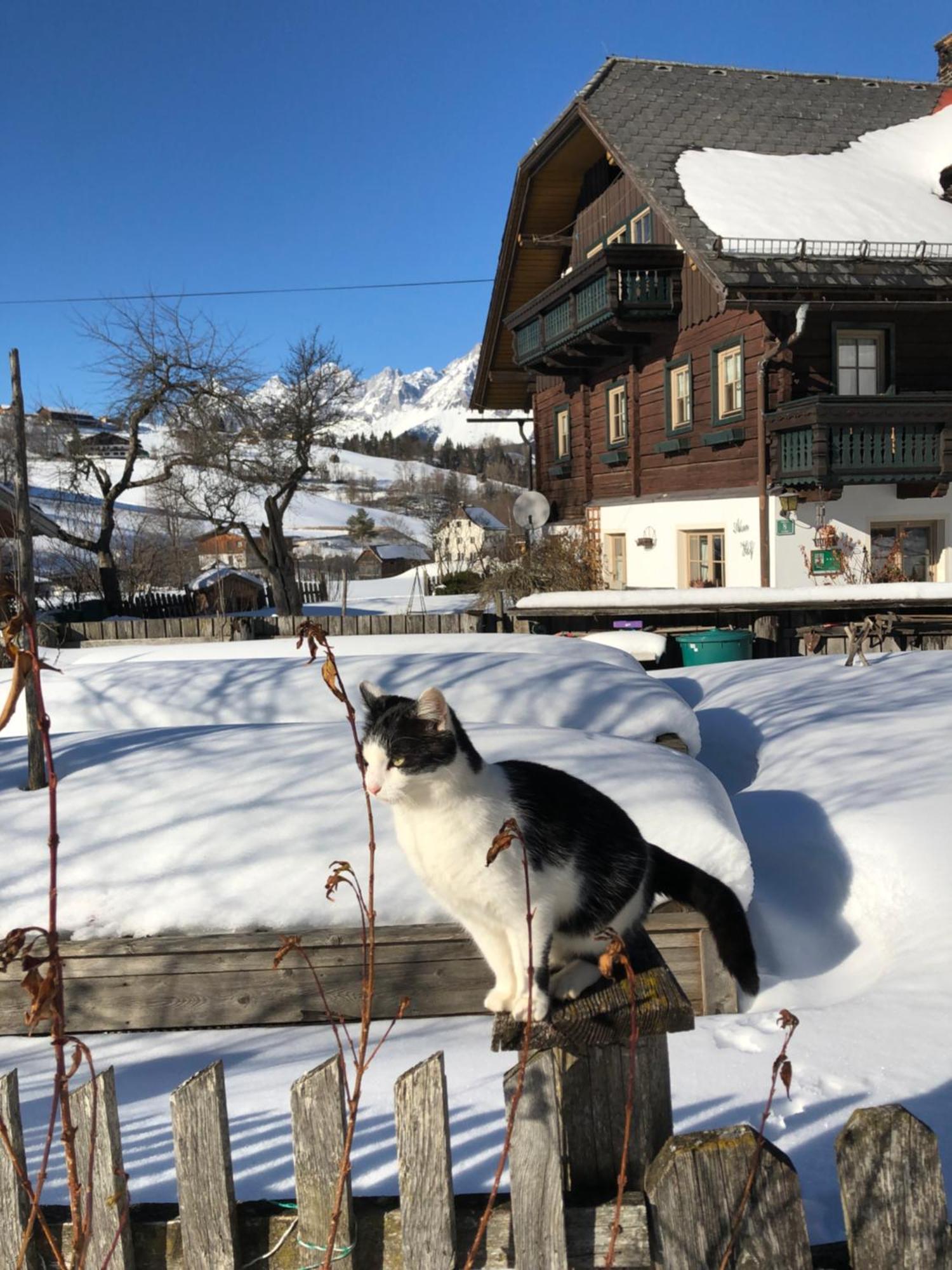 Auerhof Villa ชลัดมิง ภายนอก รูปภาพ