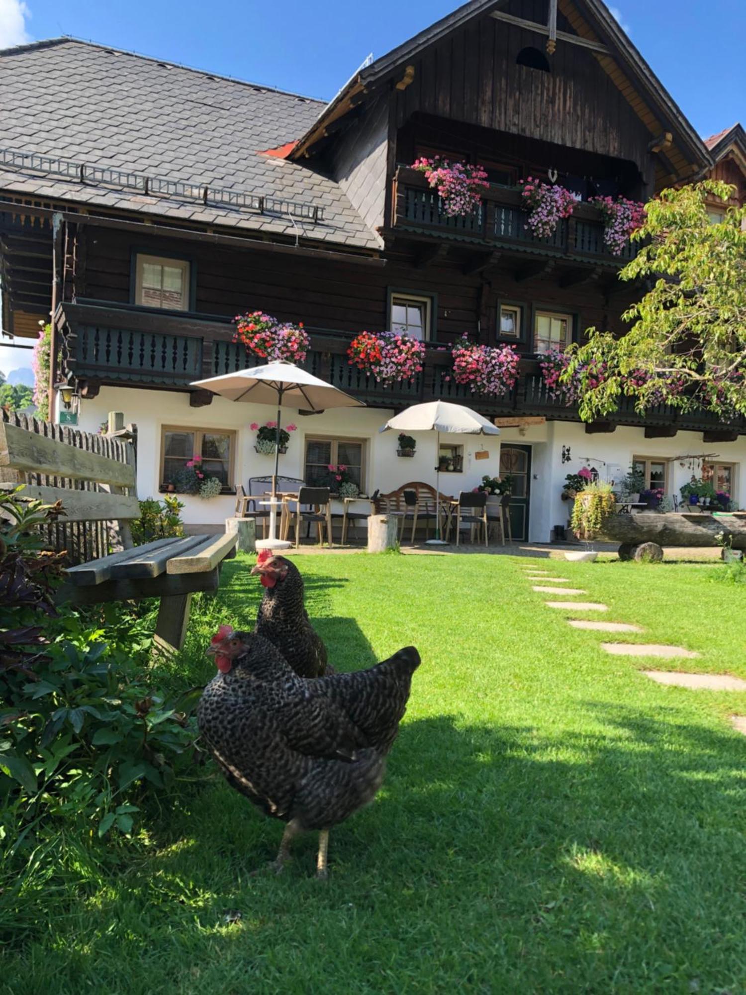 Auerhof Villa ชลัดมิง ภายนอก รูปภาพ
